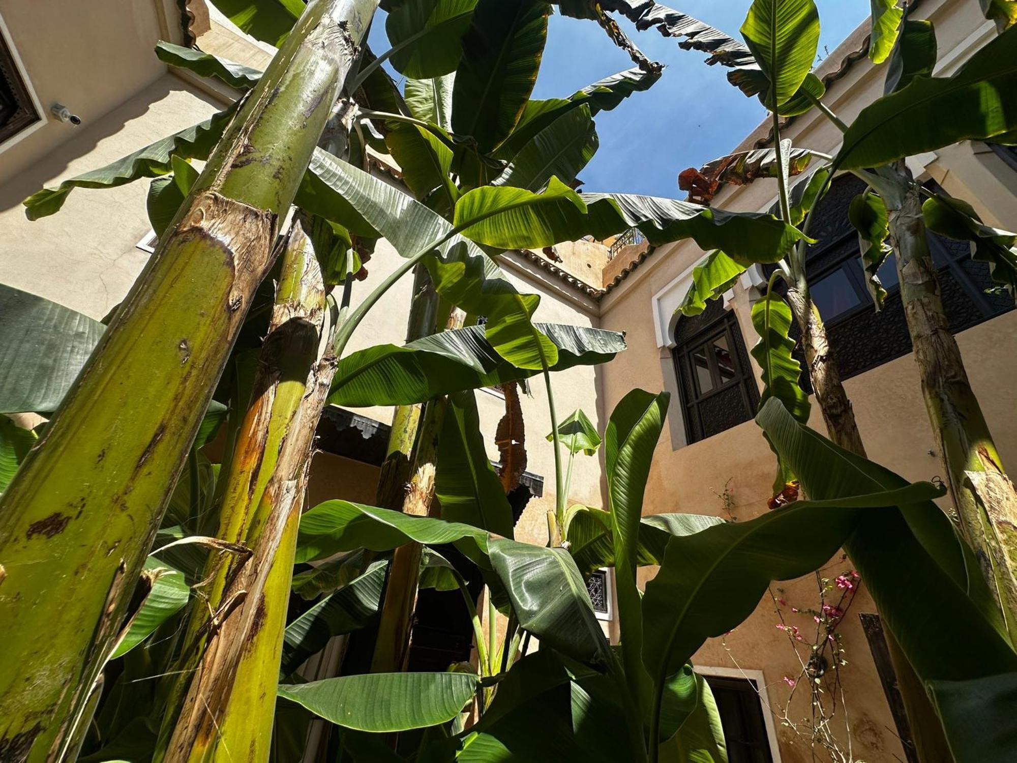 Riad Bamileke Marrakesh Exterior photo